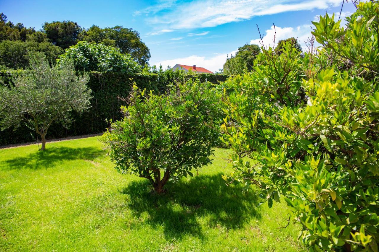 Iadertina Apartment Zára Kültér fotó
